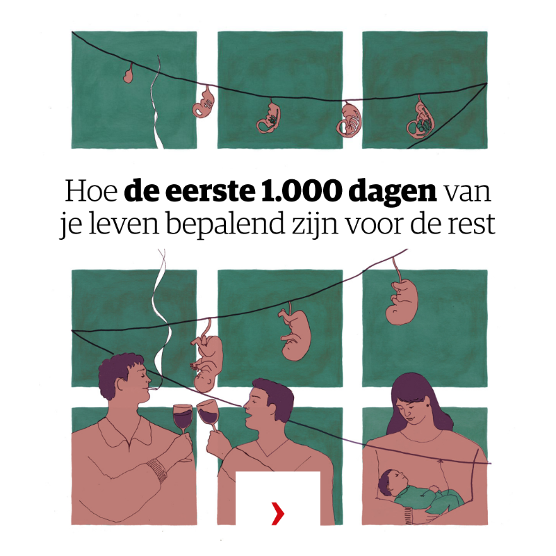 nrc's tweet photo. Jouw eerste 1000 dagen als mens zijn bepalend voor de ontwikkeling van de rest van jouw leven, blijkt uit onderzoek. Het is tekenend voor jouw gedrag en later zelfs voor jouw kansen op de arbeidsmarkt. Wat in deze periode misgaat, is later amper meer in te halen.
