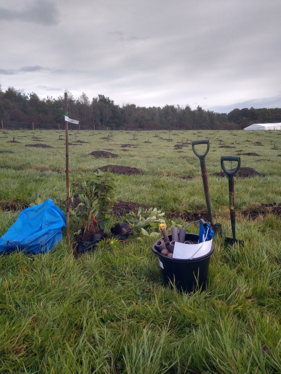 Got my stick - 131, got my trees and  bucket. All we need now is the wee planters. <a href="/The_Lost_Woods_/">The Lost Woods</a>  #Glasgow #carmunnock #carboncapture