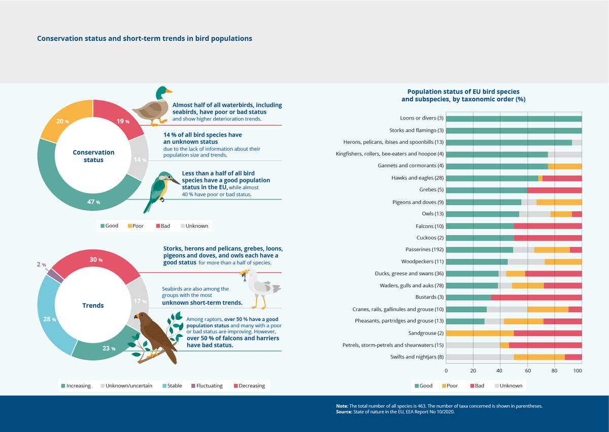 EUEnvironment's tweet photo. Are you into #birdwatching? 🦉🦆🦅
#Birds provide a good indication of the #stateofnature in Europe.
Check the #conservation status of birds and find out more in #EEASignals. Read interview w/ Petr Voříšek @birdlifecz
https://t.co/qpqI0M5RnJ https://t.co/CjSsmReRTR