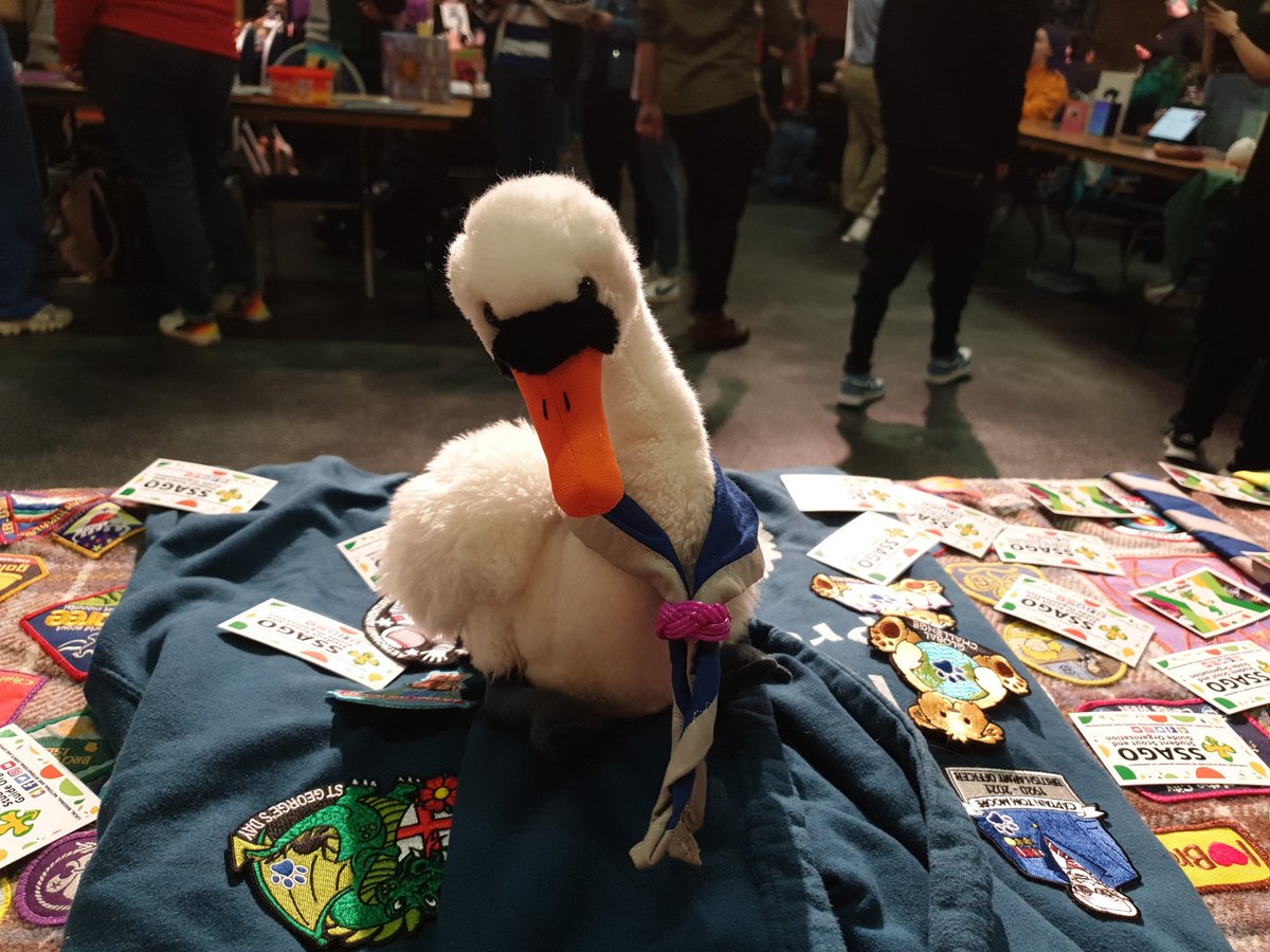 lugs_lincoln's tweet photo. Urgent news flash! Our beloved mascot/overlord Powell has a Snapchat! Add powellswan for updates! 
#wearelincoln #ssago https://t.co/Q4KUL6opVJ