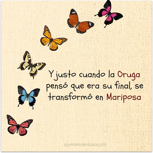 Voice11News's tweet photo. Y justo cuando la oruga pensó que era su final, se transformó en mariposa.
#facebookdown #WhatsApp #whatsappdown #instagramdown #ApocalipseDigital #ApocalipsisVirtual
Follow me @Voice11News
https://t.co/8ntQA50FMS
Télegram @Auroras_Misticas https://t.co/KonAYdV8dS