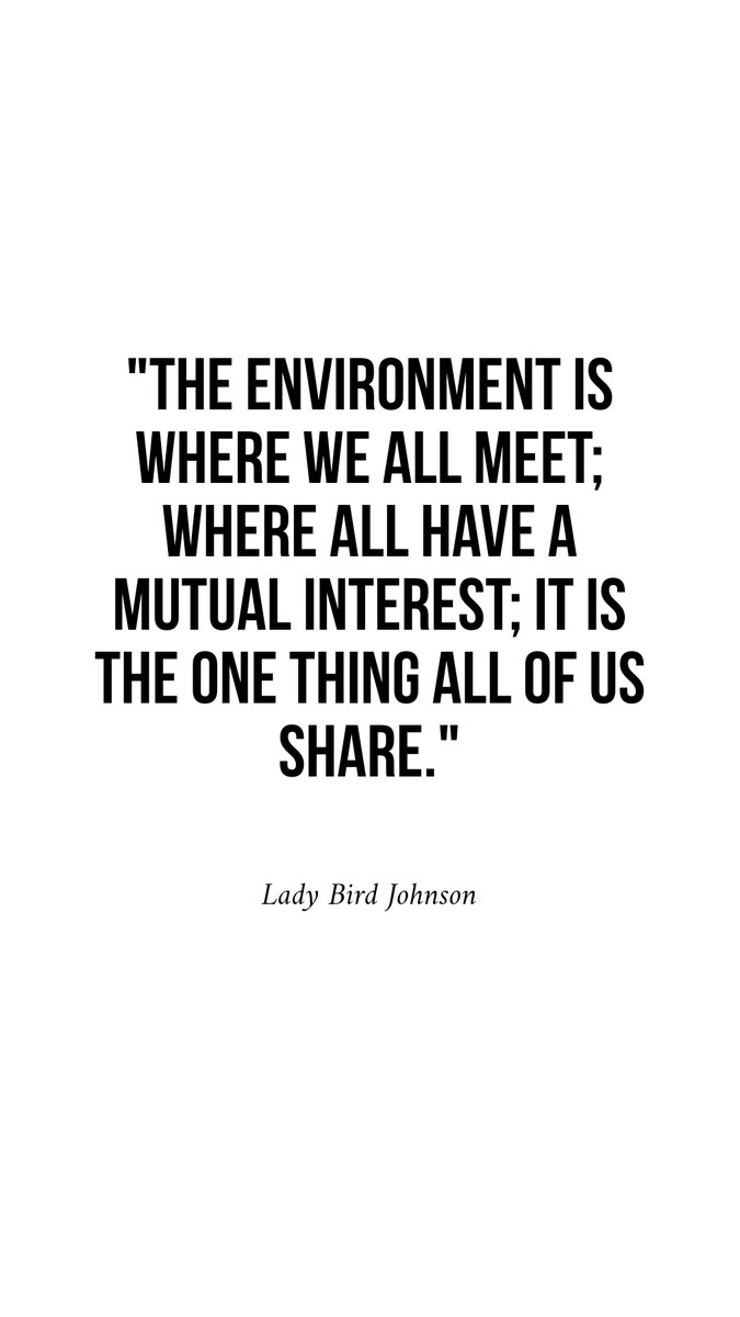 Everyday when you step out of your front door the first thing you are met with is the environment around you, just by noticing the beautiful scenery around you can impact and change the day for you. 
#environment #nature #envionmentallyfriendly #worldhealth #mentalhealth #eco