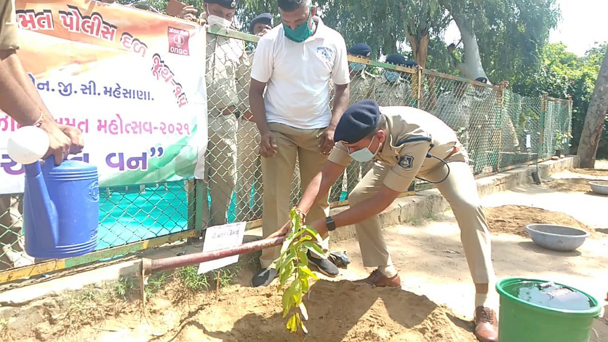 srpf15's tweet photo. આજરોજ તા. ૦૫/૧૦/૨૦૨૧ ના અત્રે રાજ્ય અનામત પોલીસ દળ જુથ -૧૫, ઓ.એન.જી.સી. મહેસાણા ખાતે જુથ-૧૫ ના કચેરી અને પોલીસ લાઇનમાં સેનાપતિ શ્રી બળદેવ દેસાઇ અને ના.પો.અધિ. શ્રીઓએ સાથે મળી સ્વચ્છતા જાગૃતિ અભિયાન અને અમૃત વન મહોત્સવ હેઠળ વૃક્ષા-રોપણનુ આયોજન કરેલ https://t.co/mCPSVmw6fc