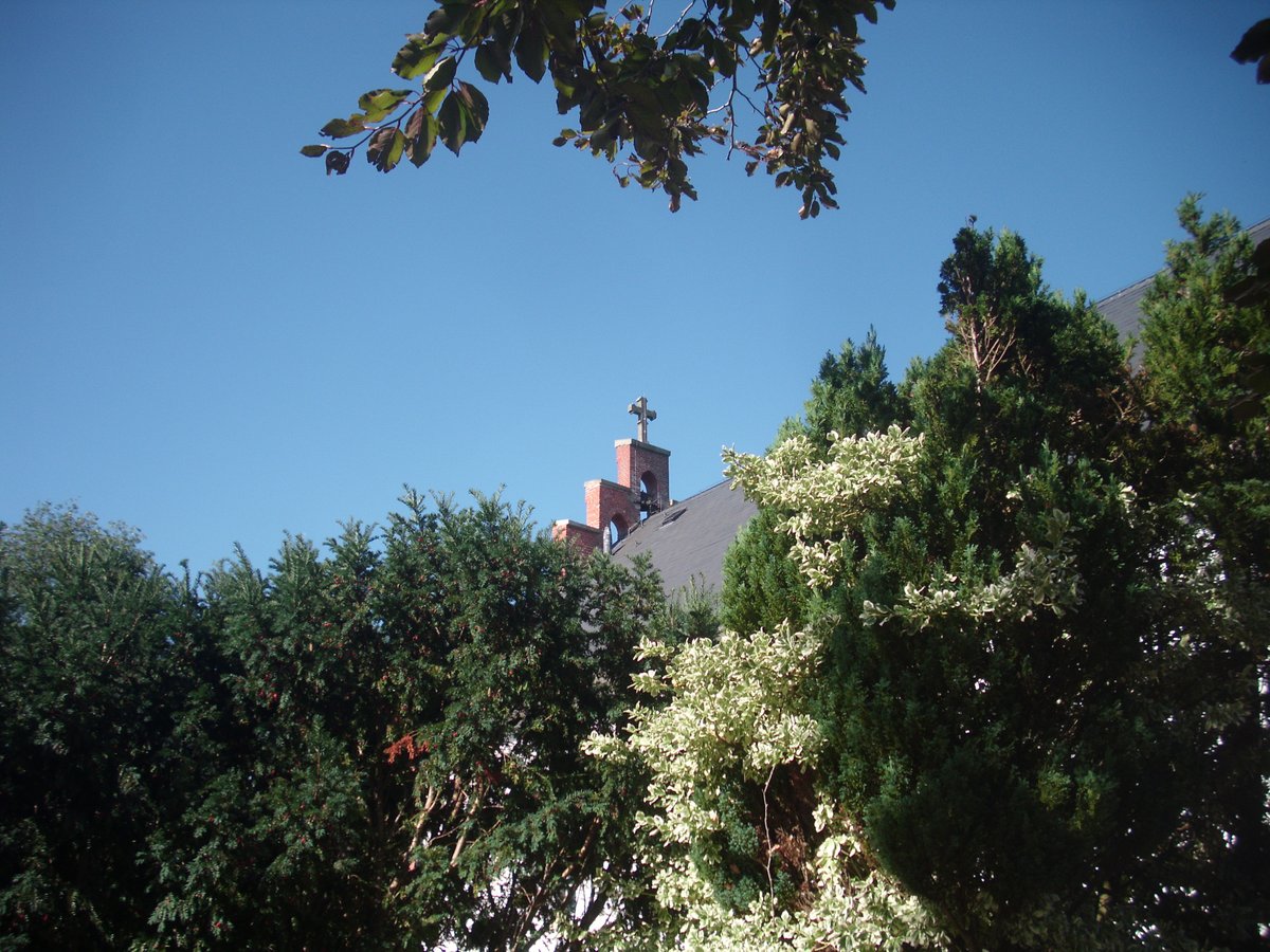 InselPellworm's tweet photo. #Pellworm - die #AlteKirche hinter Bäumen versteckt. https://t.co/t4Kkj2ud3k
