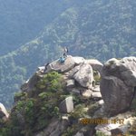 ツイートに含まれる画像