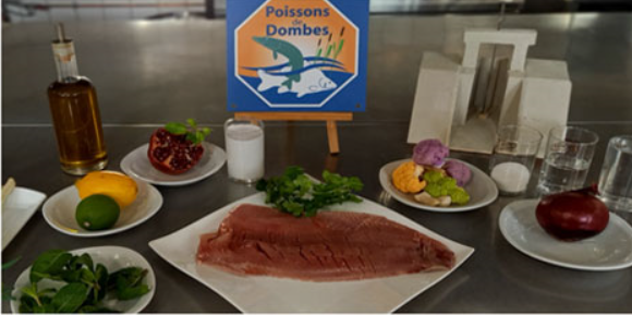 Departement_AIN's tweet photo. 🐟#Recette La carpe dans tous ses états ! @PoissonsDombes organise un concours d'innovation culinaire à destination des chefs de cuisine, des apprentis en brevet professionnel, CAP &amp; salariés apprenant des restaurants d’application 🐠https://t.co/7ccKmgLYjJ #Ain https://t.co/x8yhaqrjvH