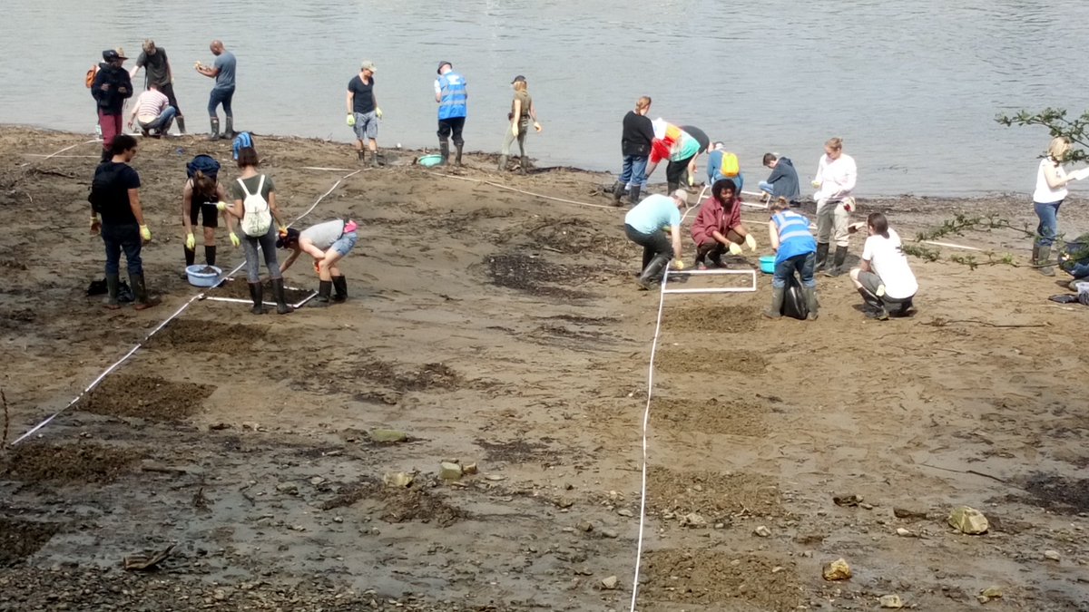 chelseaboats's tweet photo. The #BigWetWipeCount by @Thames21 took place last week clearing #RiverThames of wet wipes that had come through our sewage system. 13,740 wet wipes were found on the foreshore opposite our moorings near #BatterseaBridge. A strong message to #BinDontFlush. #communitynotcommodity https://t.co/yASvwUYNxd