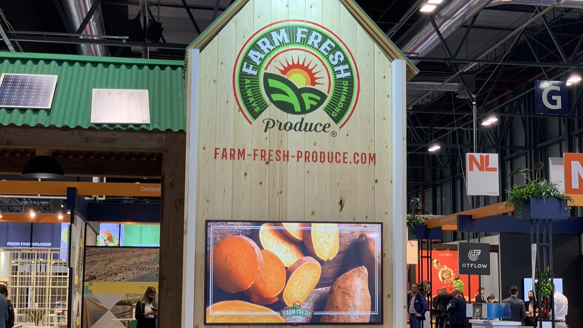 FruitAttraction's tweet photo. En @FarmFreshTweets cultivan boniatos en Estados Unidos 🇺🇸 y los distribuyen por todo el planeta. 🌍

📍 Conoce más sobre su negocio en el stand 10F03 del Pabellón 10 de @IFEMA MADRID.

#FruitAttraction21 https://t.co/FygfCpkEvl