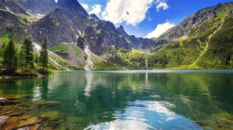 Strickler Guillory (@stricklerguill1) on Twitter photo 