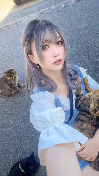 コスプレイヤーカモミールのTwitter画像18