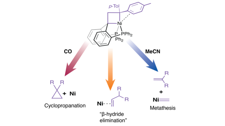 Marc-Etienne Moret | @memoret@mstdn.science (@me_moret) on Twitter photo Very proud to share the amazing work of MarĆa Sansores-Paredes just published in <a href="/angew_chem/">Angewandte Chemie</a>!
Divergent Reactivity of an Isolable Nickelacyclobutane onlinelibrary.wiley.com/doi/10.1002/anā¦
@UtrechtUni <a href="/UUBeta/">Faculty of Science, Utrecht University</a> <a href="/ERC_Research/">European Research Council (ERC)</a> Very proud to share the amazing work of MarĆa Sansores-Paredes just published in <a href="/angew_chem/">Angewandte Chemie</a>!
Divergent Reactivity of an Isolable Nickelacyclobutane onlinelibrary.wiley.com/doi/10.1002/anā¦
@UtrechtUni <a href="/UUBeta/">Faculty of Science, Utrecht University</a> <a href="/ERC_Research/">European Research Council (ERC)</a>