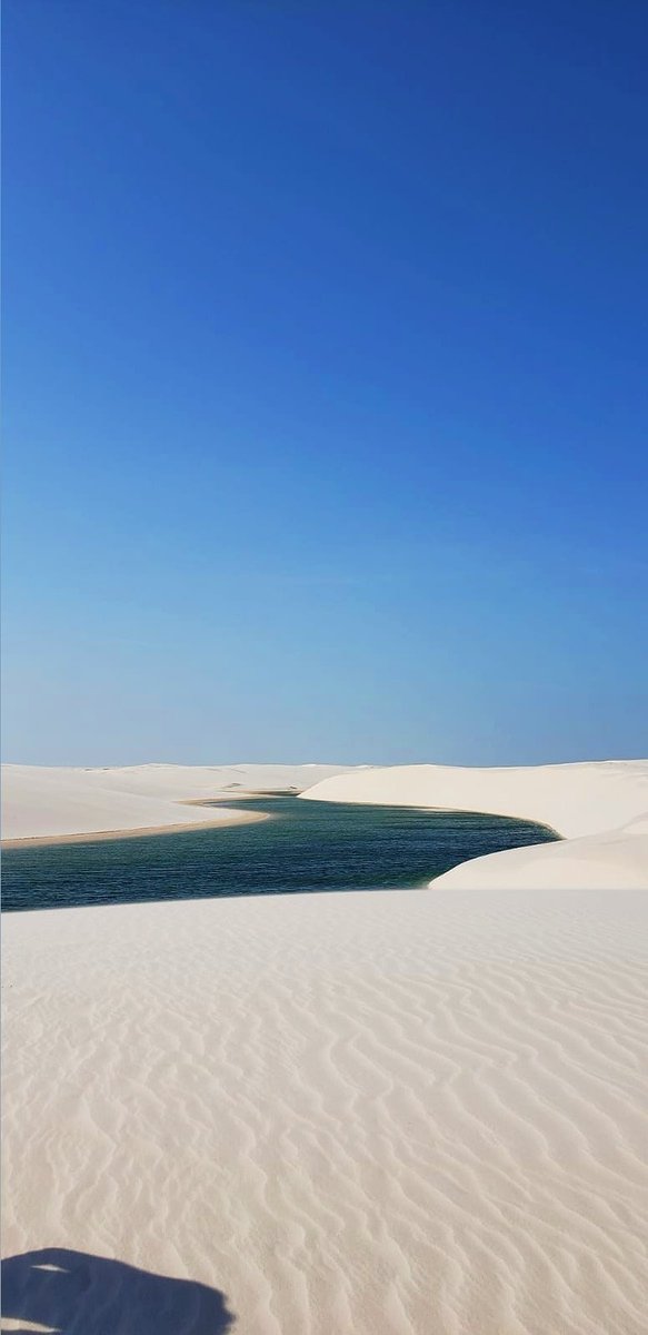 Jubs🐰 tweet media