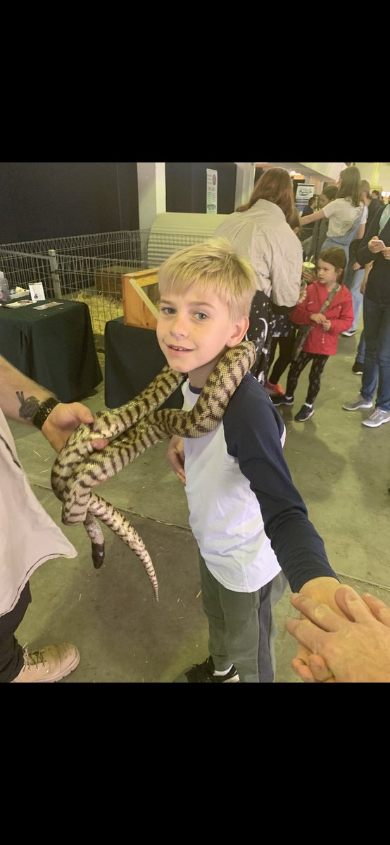 sharongreenock's tweet photo. @kevharrison_ Happy Birthday Daniel all the way from Wrstern Australia!!!!
This is Justin, we call him Buster, he has a superhero brain just like you x https://t.co/YnzBwMf0Y1