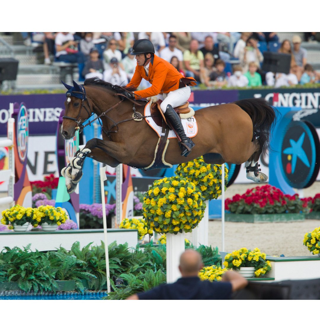 Solsona Comunicación tweet media