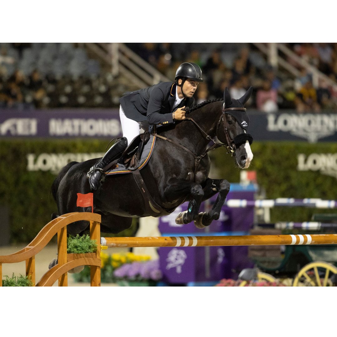 Solsona Comunicación tweet media