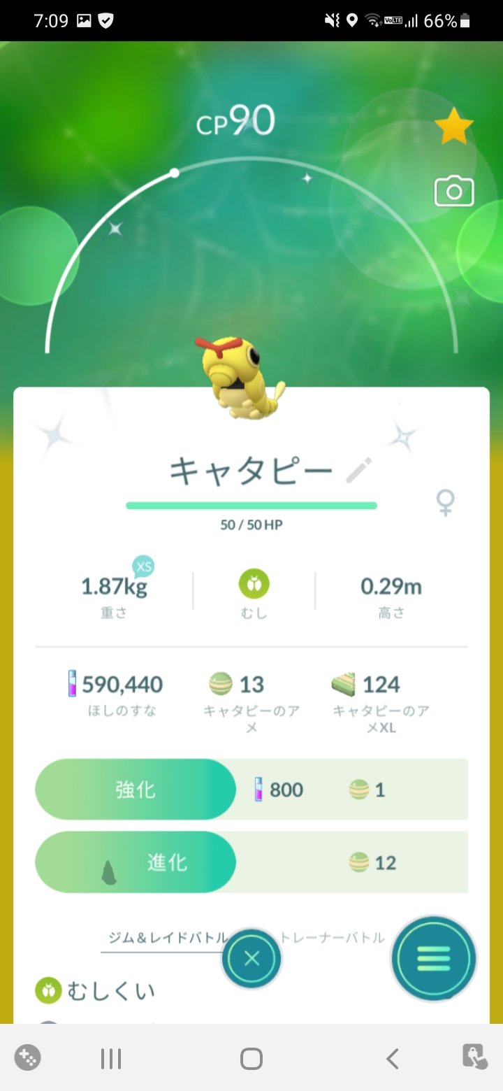ピヨしんこ E 金ピカ色違い キャタピーもキラキラ ポケモンgo 色違いフワンテ 色違いキャタピー T Co Gjv9iu0p0d Twitter