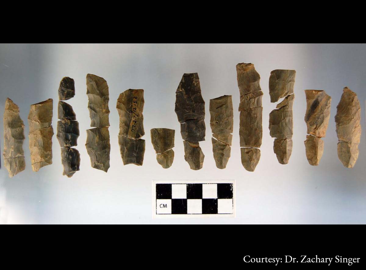 archaeology_aia's tweet photo. Learn about lithics with today's #IADartifact of the day from @IAISMuseum: These small channel flakes from a site in Connecticut were made during the fluting process. It's the last crucial step in making a fluted point, but one wrong move and all your hard work is lost! #IAD2021 https://t.co/A618pwsYiA