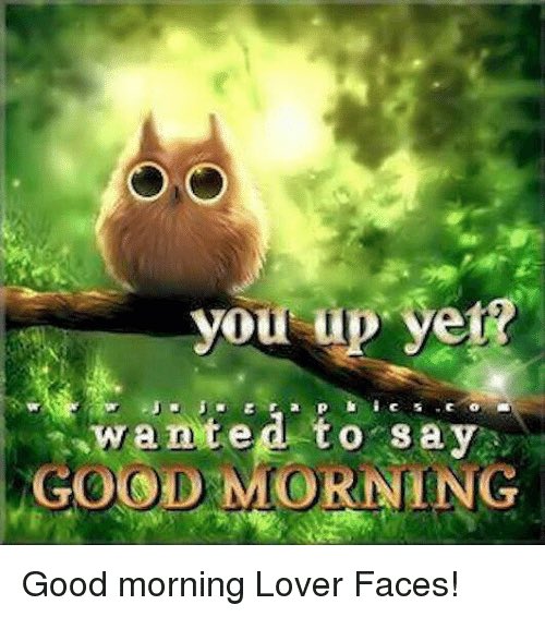 Ivelisse (@ivelisse2021) on Twitter photo 