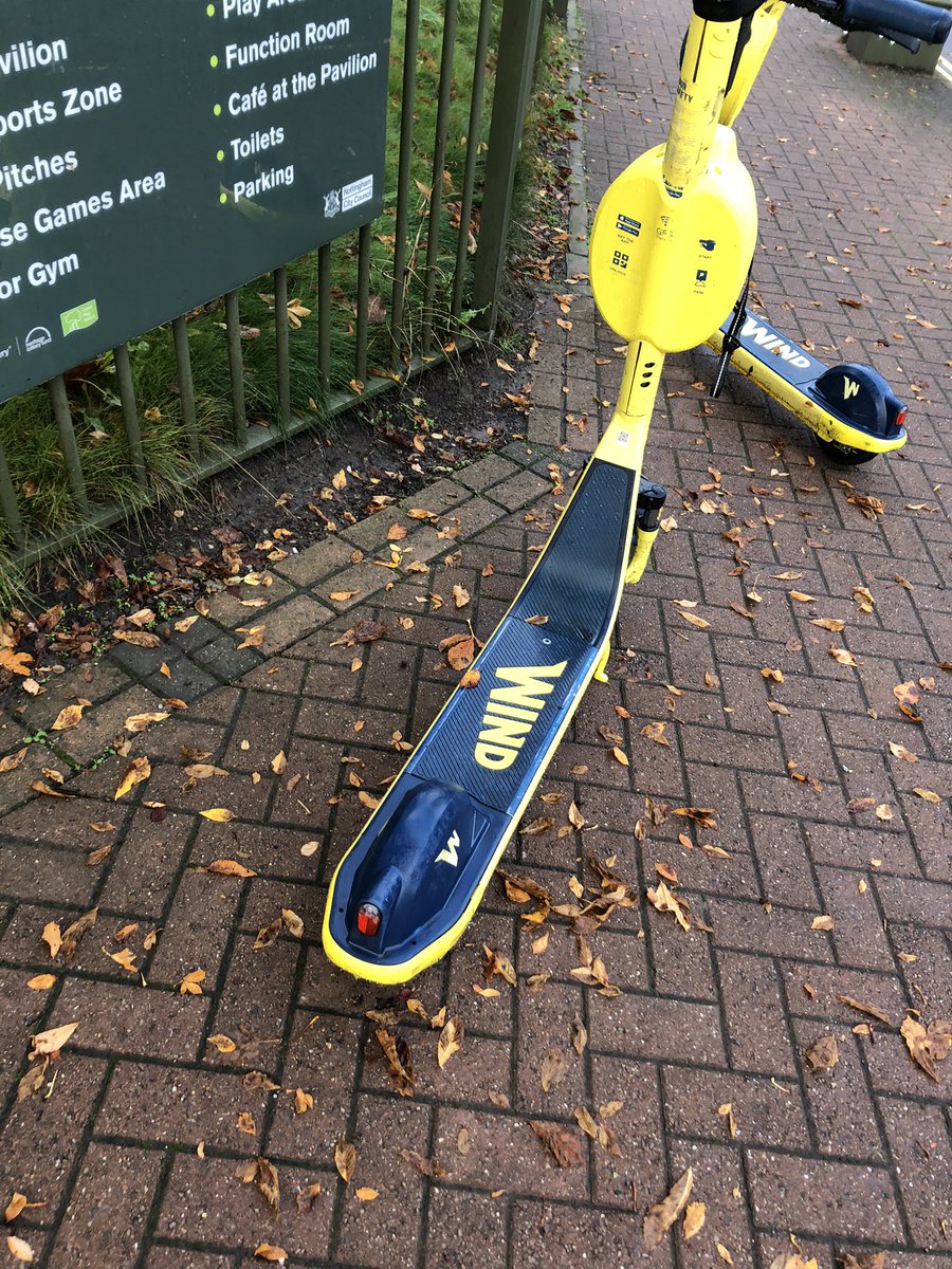 Edward Lewis 🎣 tweet media