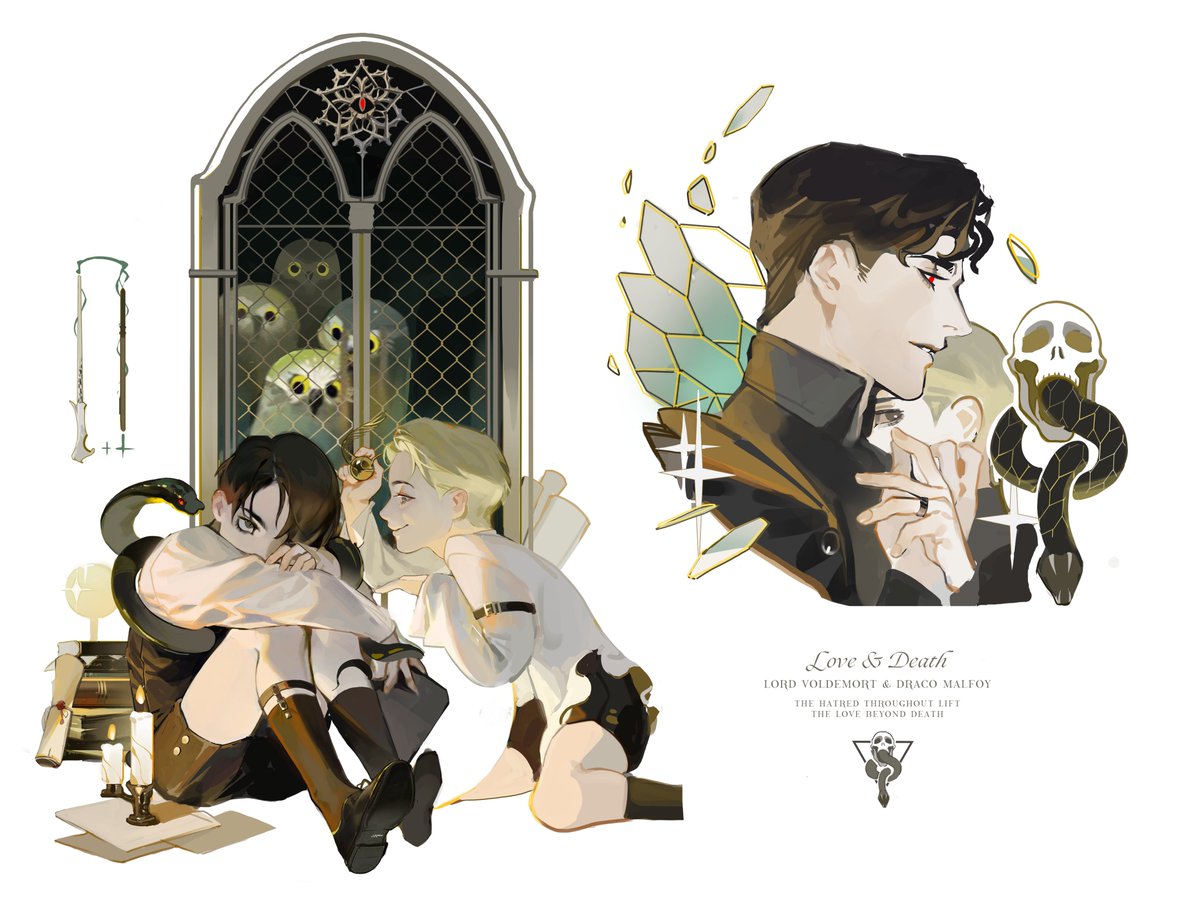 #LVDM #tomdraco #HarryPotter