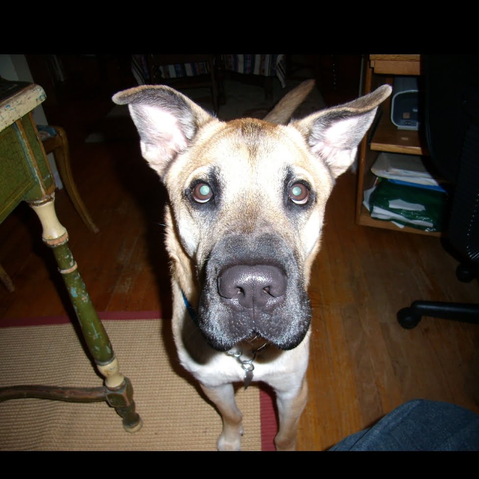 eric fieldman👊✌ tweet media