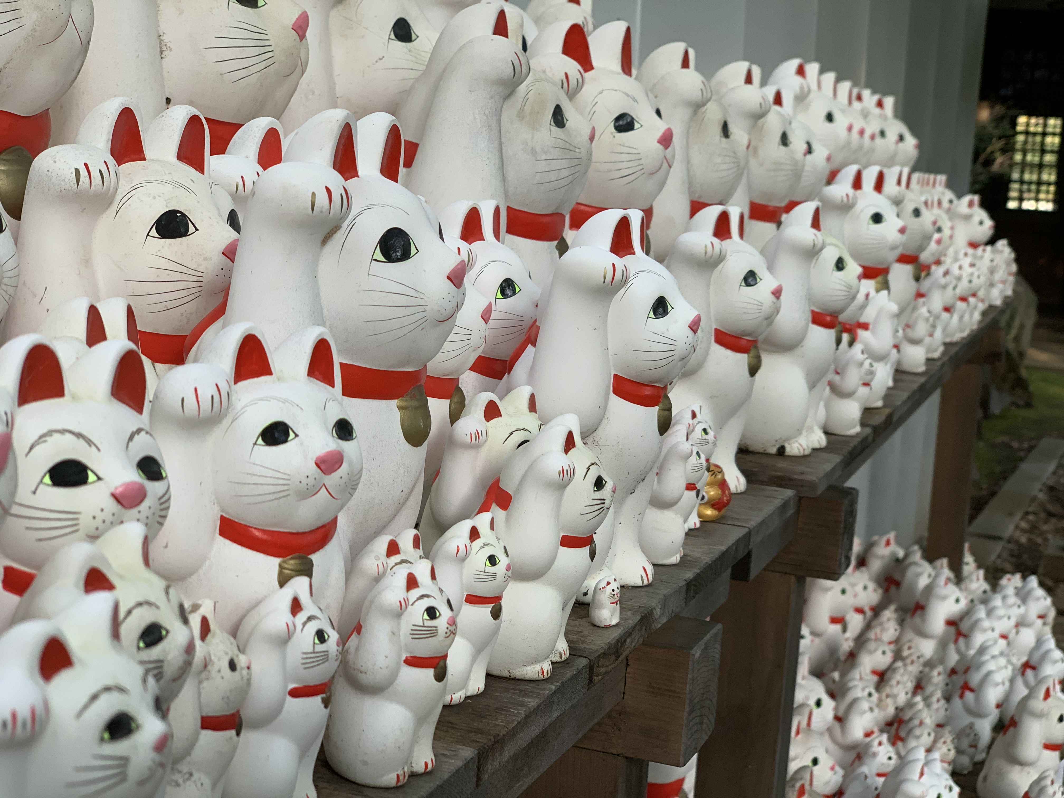 トラベルエア 豪徳寺に招き猫を奉納し 代わりに一段階大きい子をお迎えに行ってきました 前の子の願掛けは十分叶ったので 次の子にはもう一つ上のレンジでの成功をお願いしました 緊急事態宣言中はお詣りできなかったので ようやくお詣りもしてきたし