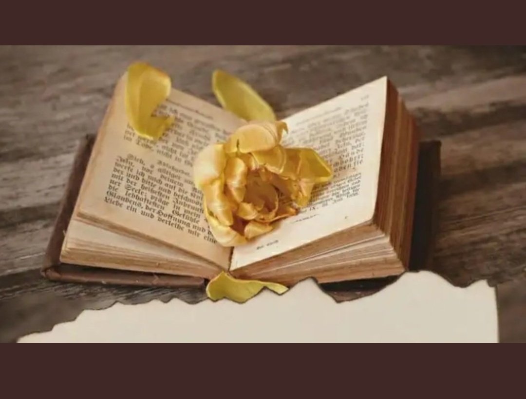 ऐ हवा उस से ये कहना कि सलामत है अभी..
तेरे   फूलों   को   किताबो  में  छुपाने   वाली..✍️

#Dolly..💖💕..<a href="/iamdolly1108/">Dolly..*72K*..💕 #सलामनमस्ते🙏</a> 

#Onlyशायरी.#Ting