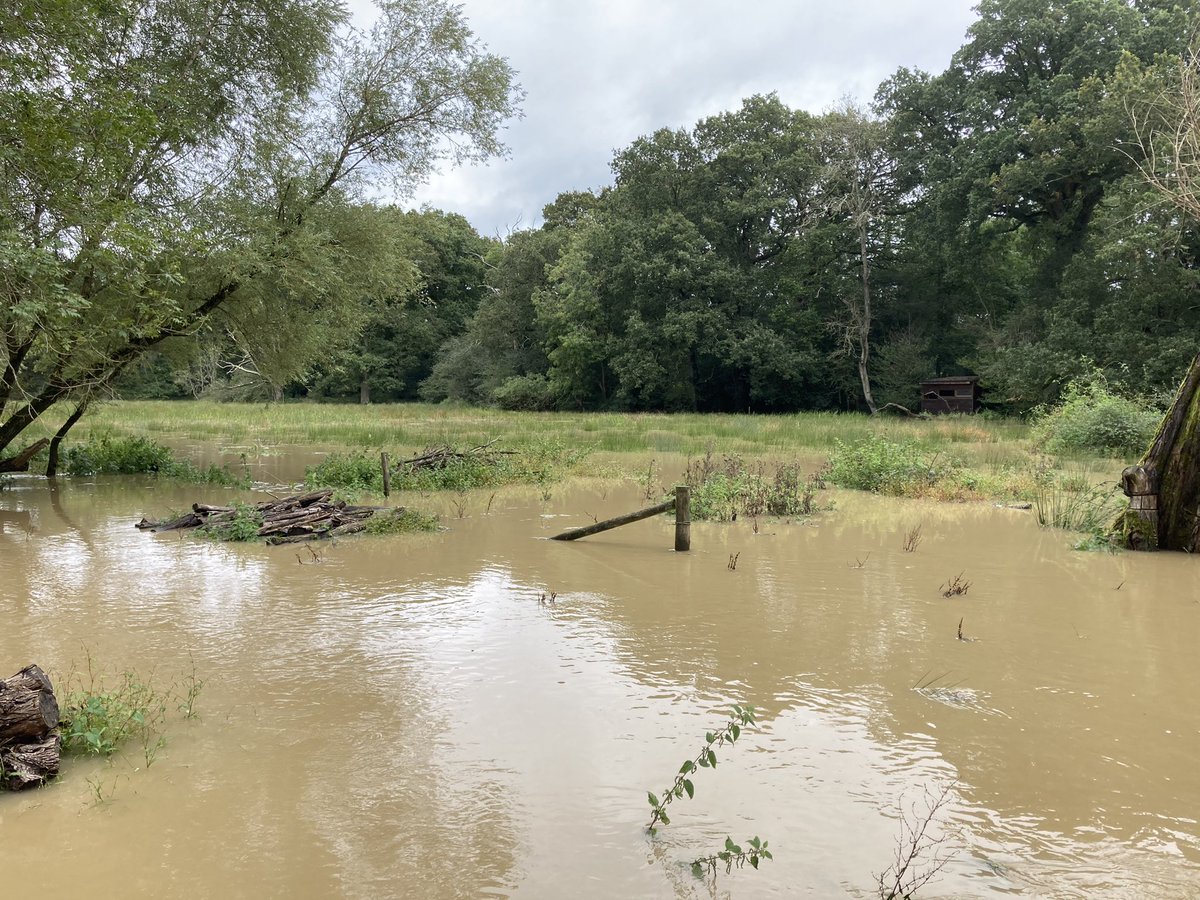⛔️RESERVE CLOSED ⛔️ We apologise for any inconvenience caused but we have had to close the Reserve due to flooding at 11.30am. We hope to be back open tomorrow <a href="/bbcweather/">BBC Weather</a> <a href="/SussexBirding/">Sussex Birding</a> <a href="/WarnhamFriends/">Warnham LNR Friend</a>