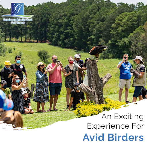 Gooderson's tweet image. An exciting destination for bird enthusiasts with Falcon Ridge Birds of Prey just a short trip down the road.

Make a booking at our property:
bit.ly/3A4wnm5

#goodersonleisure #monkscowl
#golfresort #vacationspot #southafrica #avidbirder #centraldrakensberg