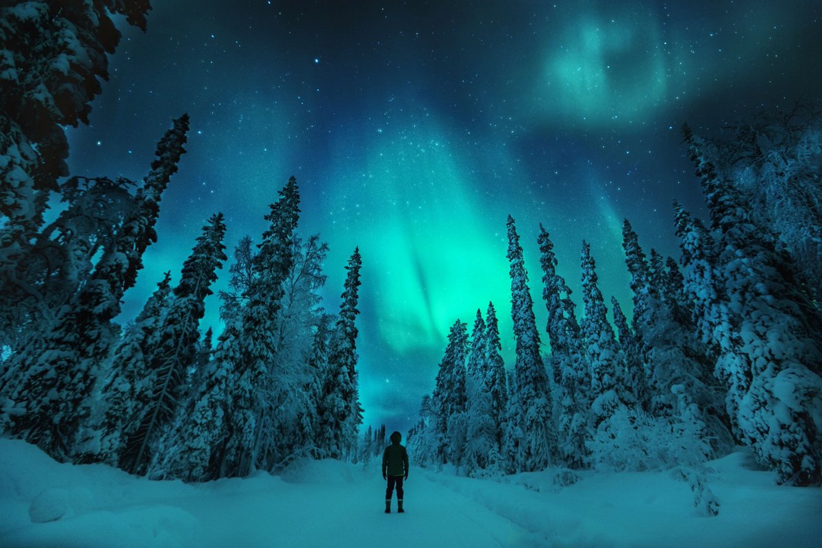 Mission Impossible!

Pick a favourite image from our recent posts.

theaurorazone.com

#NorthernLights #AuroraBorealis #AuroraLove #AuroraPhotography #NorthernLightsPhotography #Aurora #Lights  #Lapland #MeltingSkies # AuroralOval #NorthernLightsPassion #NorthernLightsLove
