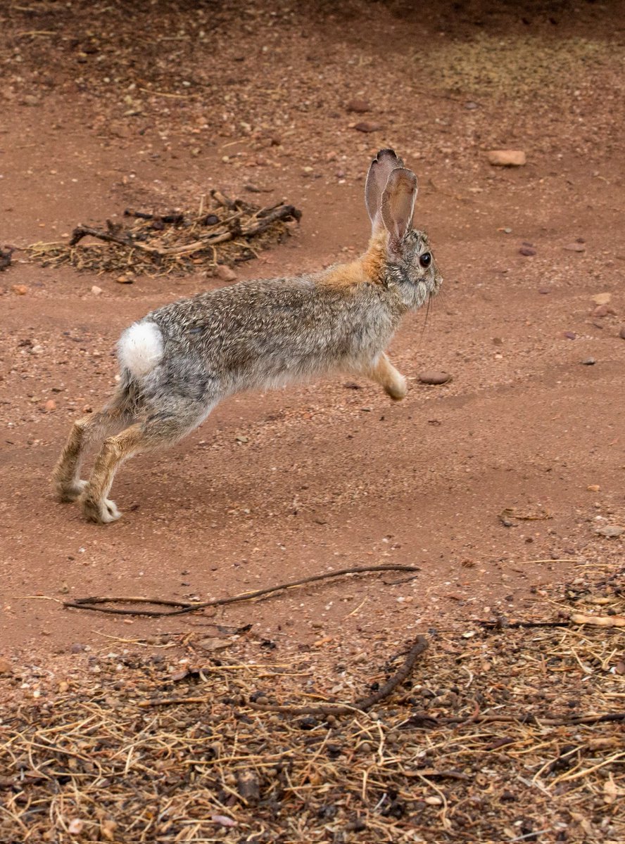 이젠숨길생각도없구나
이런식이면 더이상 지켜줄수도 없어