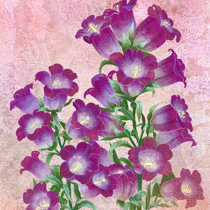 長谷のtwitterイラスト検索結果