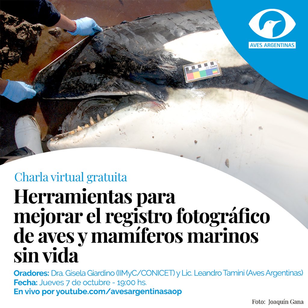 travesiasdelobo's tweet image. Jueves 7 de octubre a las 19 hora Argentina