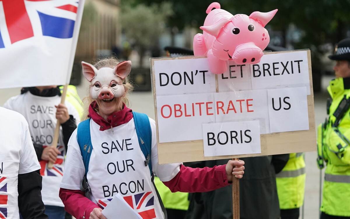 Pig farmers protest outside the Conservative Party Conference in Manchester
Credit: Stefan Rousseau/PA Wire https://t.co/5g5IJbtj8h