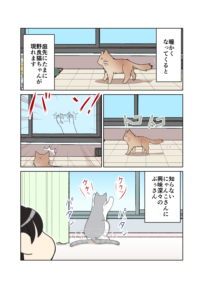 Minatsu 猫エッセイコミック販売中 Minatsucat Twitter