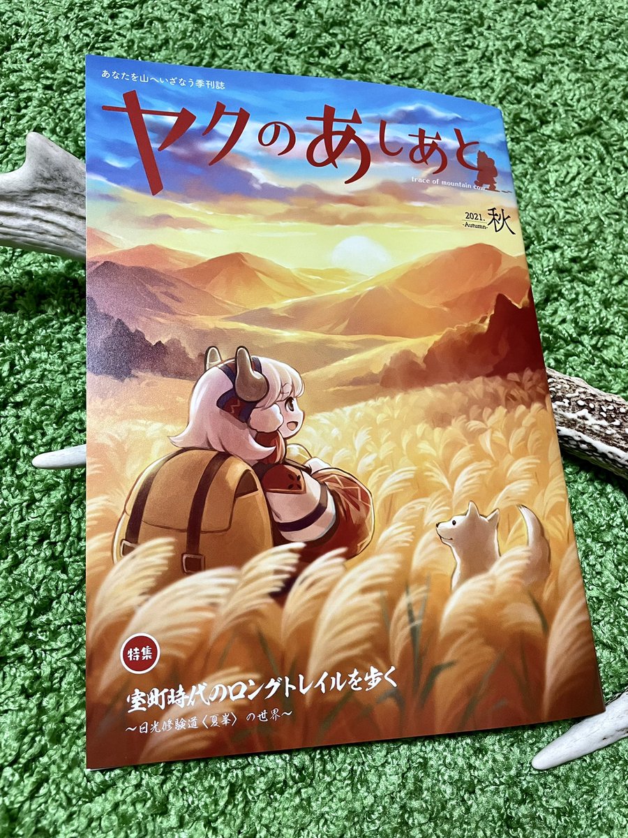 スプラウト (膝骨治療中) tweet media