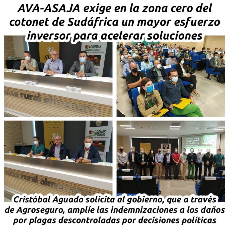 AVA-ASAJA EXIGE EN LA ZONA CERO DEL COTONET DE SUDÁFRICA UN MAYOR ESFUERZO INVERSOR PARA ACELERAR SOLUCIONES

hosteleriaenvalencia.com/noticias.asp?i…

@ava_asaja #avaasaja #HosteleriaEnValencia #Cotonet #CotonetDeSudafrica #CristobalAguado #Agroseguro #Plagas #indemnizaciones #SectorAgrario