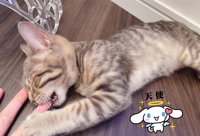 莉犬くん すとぷり Rinu Nico Twitter