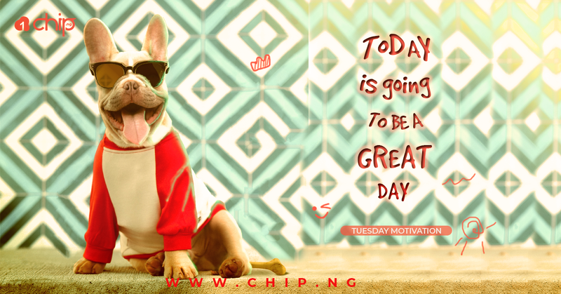 chipmarketplace's tweet photo. Good day everyone! Hope you are having a blissful day. Don't focus on the things you lost/couldn't achieve yesterday, be optimistic and Pray for a better tomorrow. Today is going to be a great day!

 Visit @https://chip.ng,

https://t.co/wRrSmu02Rk https://t.co/o7NLwUk8xV