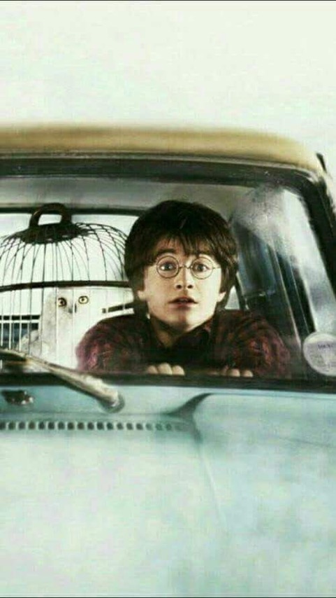 TheDailyHPotter's tweet photo. Best friends ride together ❤️ https://t.co/XXspJpYUoE