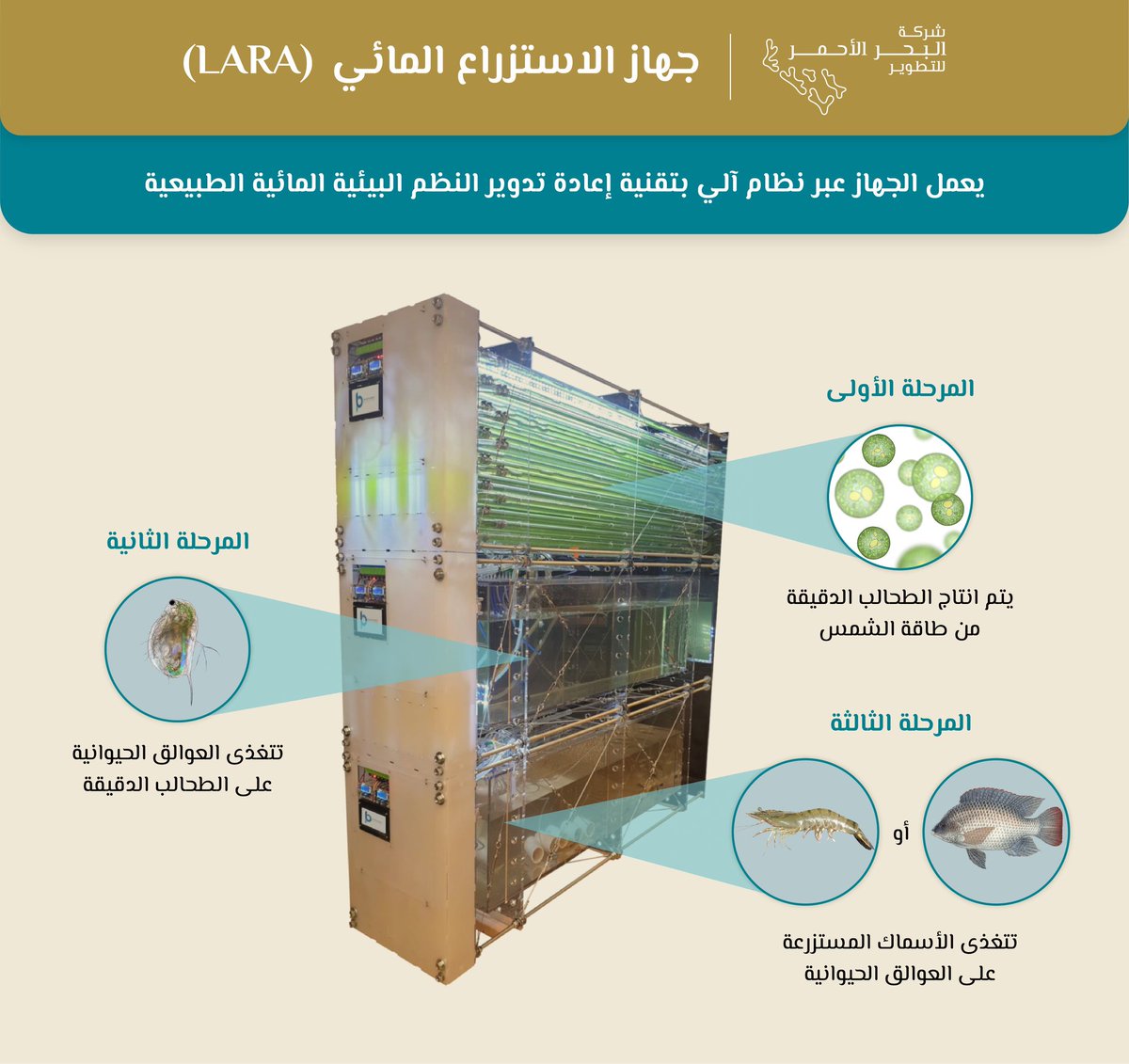 خ د م ا ت .com tweet media