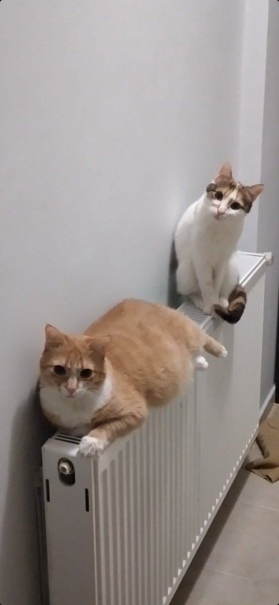 #2021kışsezonu resmen açılmıştır 🤣