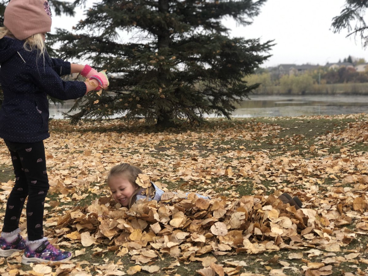 #FairyTaleForest C’est l’automne!