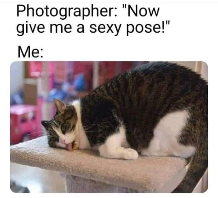 CurvyNorwegian's tweet photo. Reality😅 https://t.co/cSvJJkcr9i