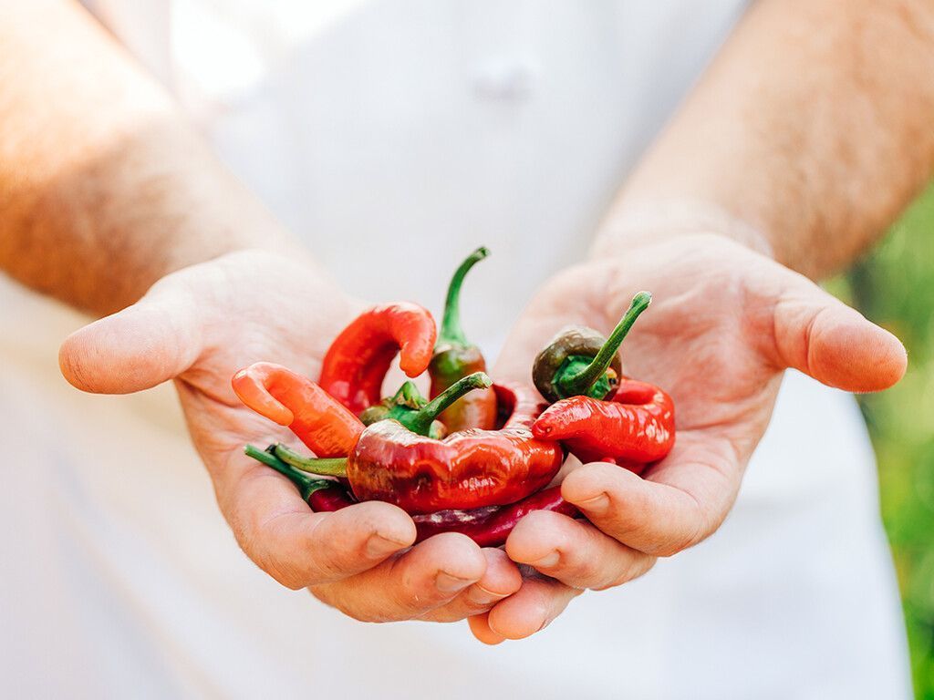 RelaisChateaux's tweet photo. FOOD FOR CHANGE - For the 4th year, we join forces with @SlowFoodHQ for #FoodforChange to fight climate change & protect biodiversity. Chefs nominated endangered products to Slow Food’s #ArkofTaste to ensure the preservation of local heritage. More on link
https://t.co/l8WLdBfPEH https://t.co/uTj14zM6Fp