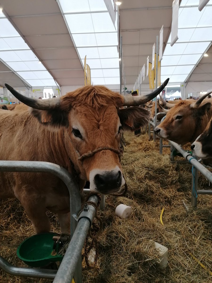 Myriam Lemetayer tweet media