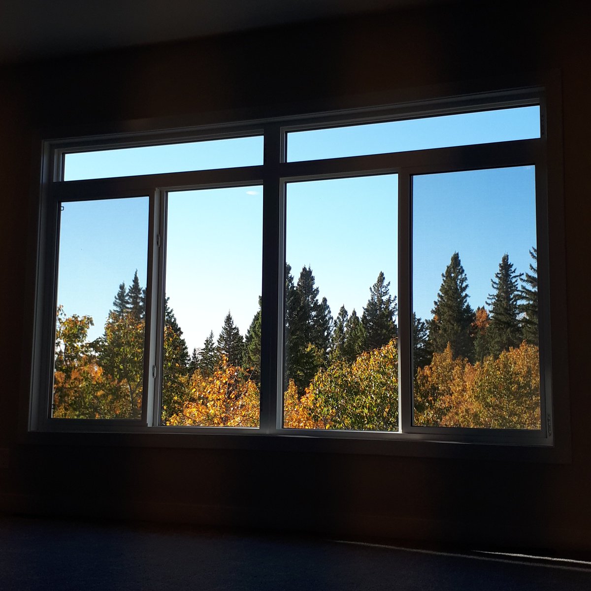 laebonhomes's tweet image. Good morning from #Timberstone 🏡 Talk about a primary suite with a view. New homes in Timberstone either back onto the trees or a large greenspace, home sites are still available – Find your perfect fit today!