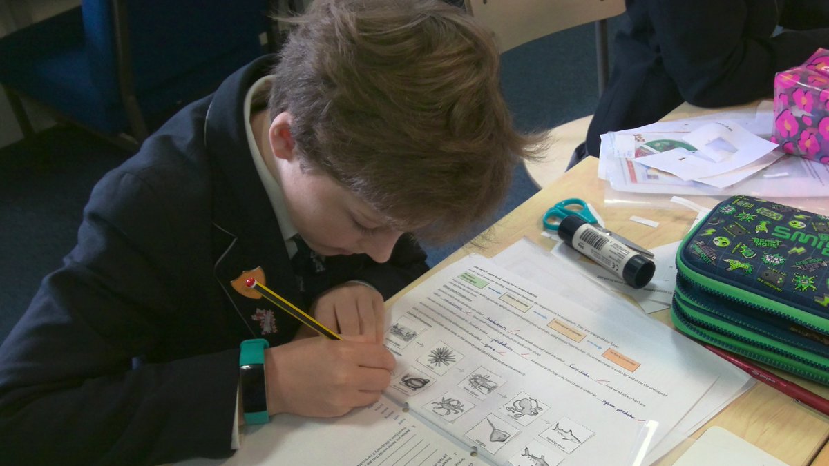 LaxtonJunior's tweet photo. In Science, #LJSYear6 have been thinking about what they might eat if stranded on a Desert Island. They've learned about the nutrients needed by the body, constructed ocean food chains, and even produced some fabulous food art, apple hammock and all! #WeAreLJS #LoveofLearning https://t.co/zlQoOj8so9