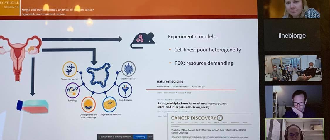 #ERAPerMed #OvarianCancer project "PARIS". Our very first edicational seminar took place today – More than 20 participants. Great talk from Matias ! <a href="/WennerbergLab/">Wennerberg Lab</a> <a href="/reachoutinova/">reachoutinova</a> <a href="/AnnaVaharautio/">Anna Vähärautio</a>
<a href="/bennos/">Benno Schwikowski</a> <a href="/forskningsradet/">Norges forskningsråd</a> @medofak_uib <a href="/haukeland_no/">Haukeland</a> <a href="/georgewbasj/">Emmet Mc Cormack</a> <a href="/drlb/">Line Bjørge</a> <a href="/Gynkreft/">Gynkreftforeningen</a>