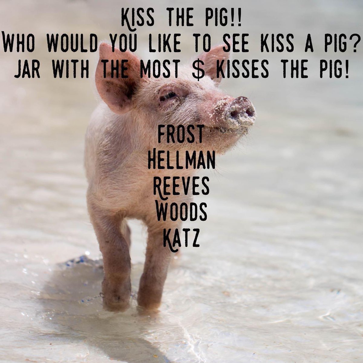🐽🐽